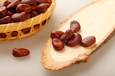 《太吾绘卷》9月中旬更新预告 新增两个地区短剧情